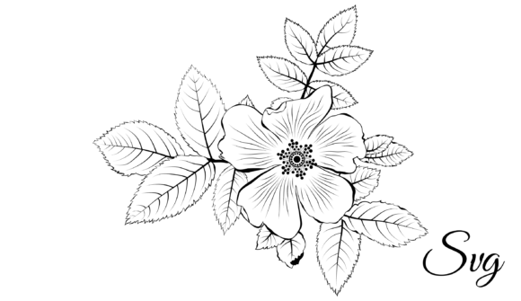 Floral Linear Design: Graphics and Illustrations for Digital Sellers