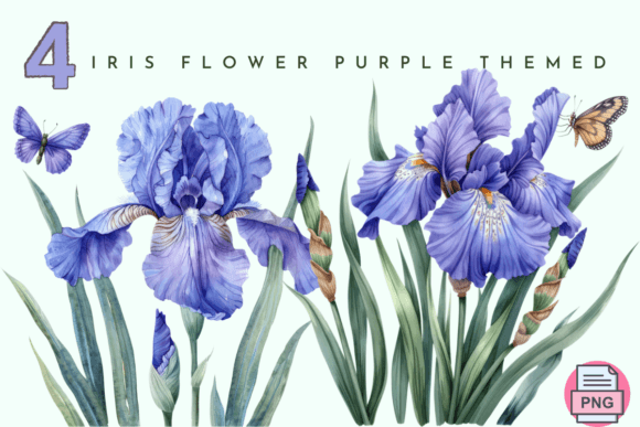 Iris Flower Watercolor Purple Floral Graphics and Illustrations Review