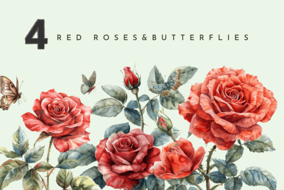 Red Roses Flower, Watercolor Floral Graphics and Illustrations