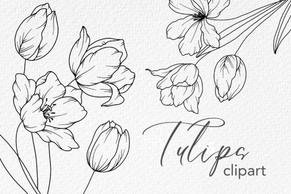 Tulips Line Drawing, Floral Line Art: Graphics and Illustrations for Modern Publishing