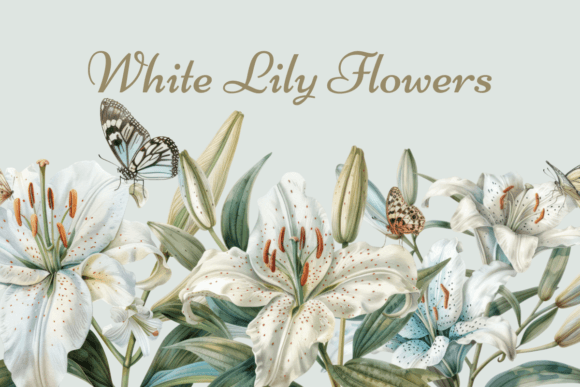 White Lily Flower Watercolor Floral Graphics and Illustrations Review